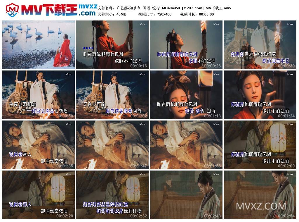 许艺娜-如梦令_国语_流行_MD404959